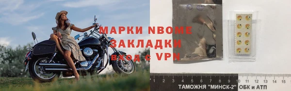 индика Козельск