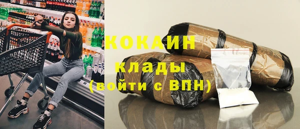 шишки Абинск
