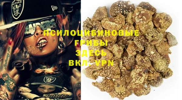герыч Мегион
