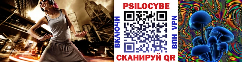 что такое наркотик  Шлиссельбург  Псилоцибиновые грибы MAGIC MUSHROOMS 