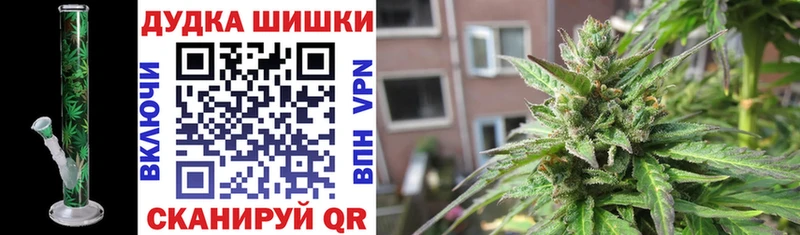 darknet наркотические препараты  Шлиссельбург  Каннабис White Widow 